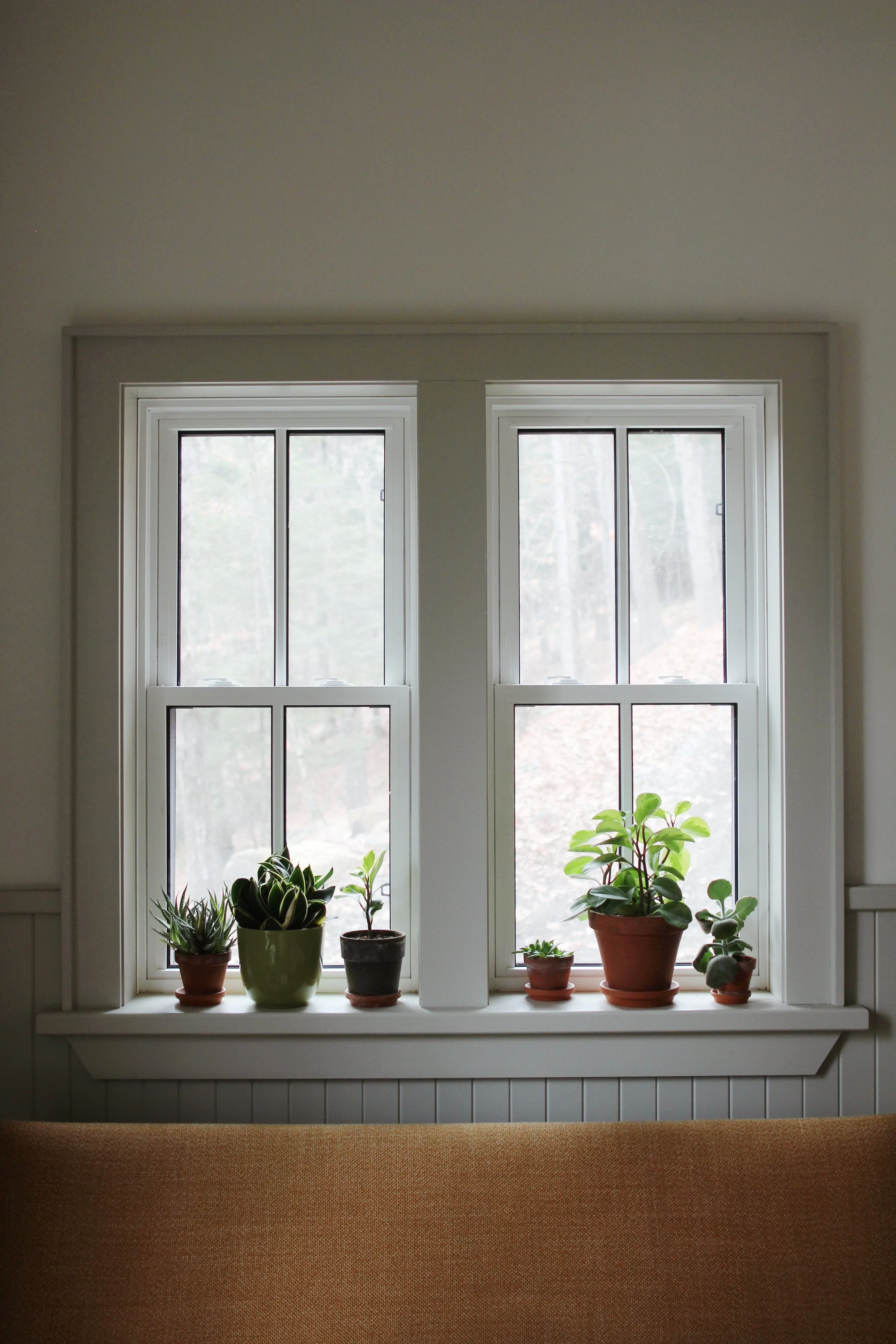 Cabin_Living_Room_Window_Trim.jpeg