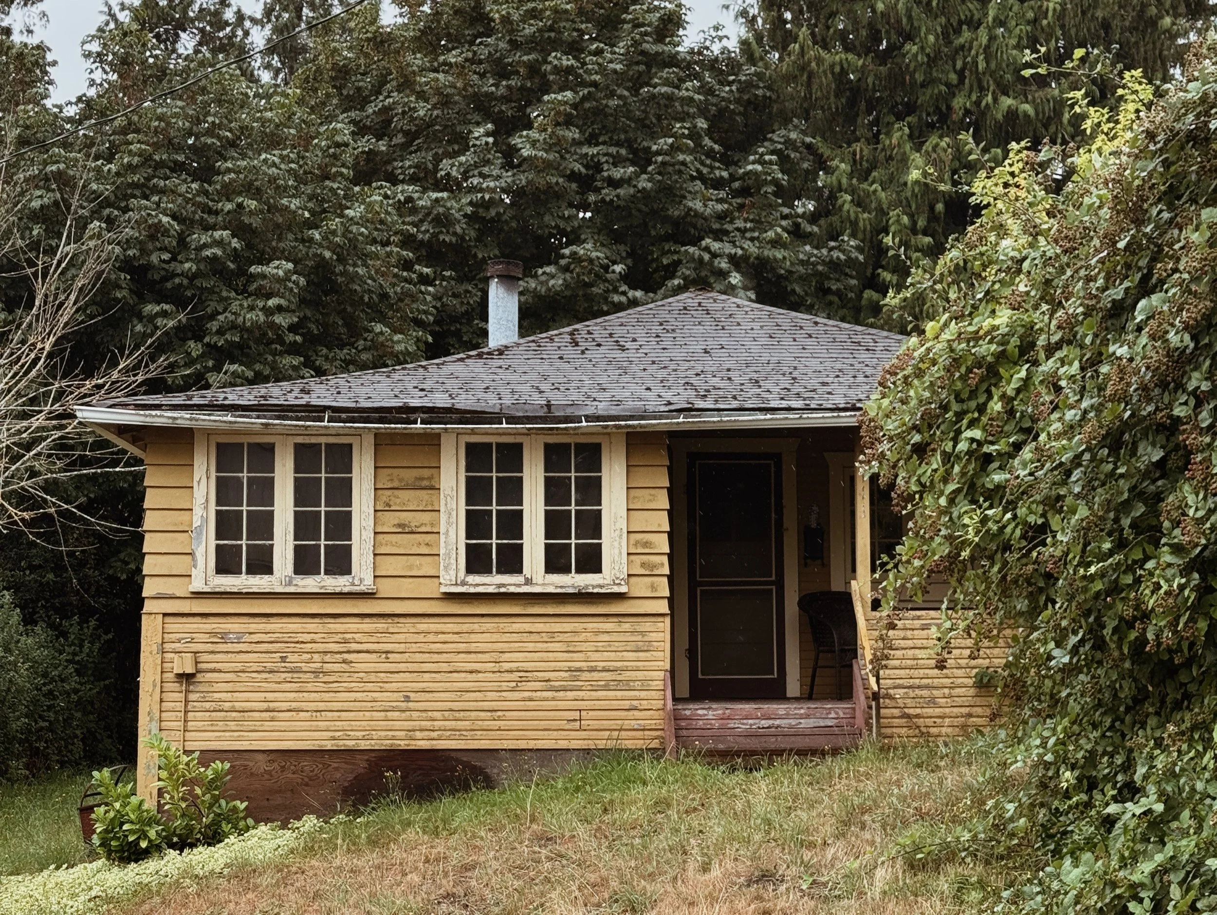 Steep_Hill_Studio_2026_Point_Roberts_Yellow_Cottage.jpeg