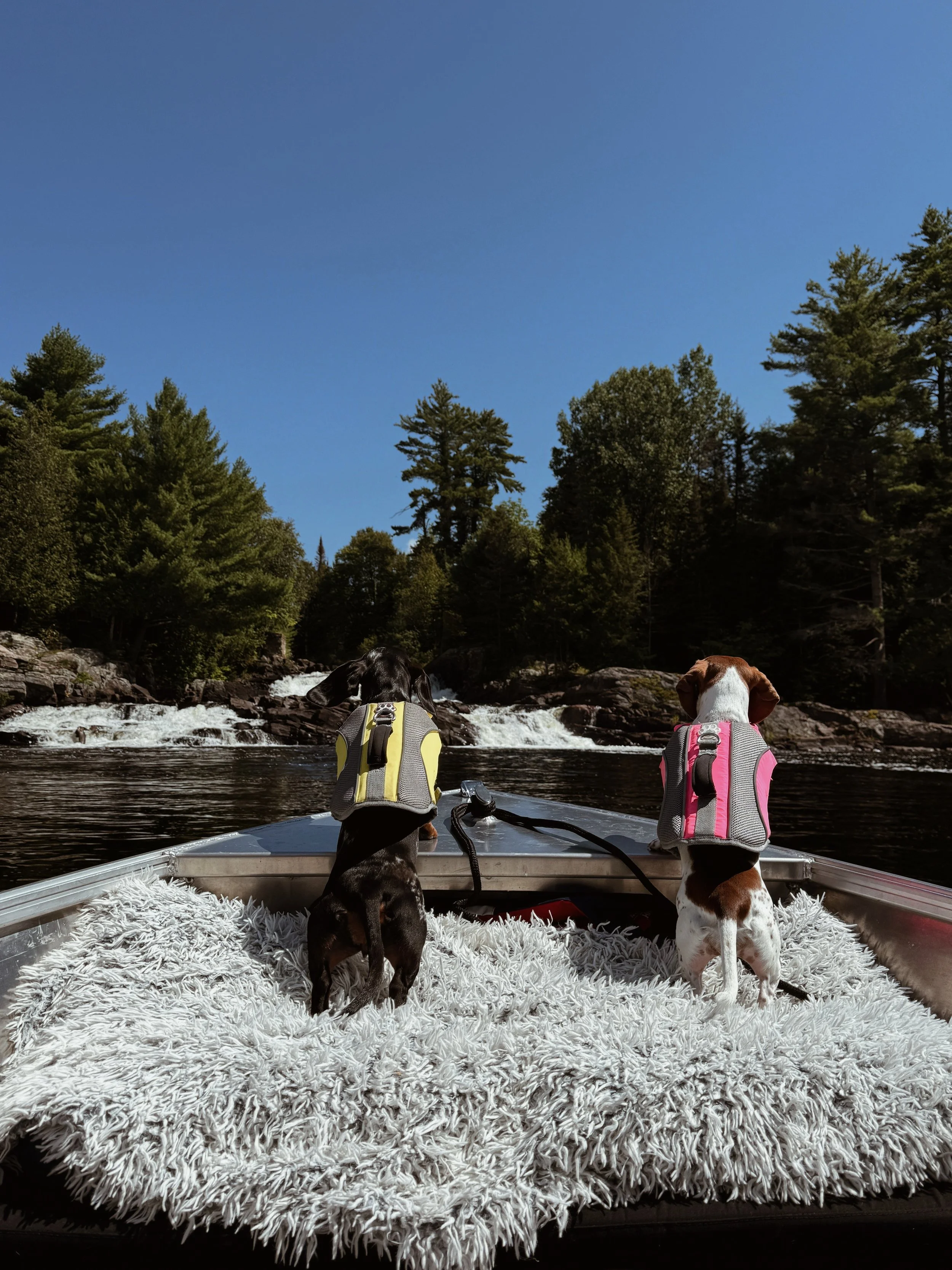 Steep_Hill_Studio_2026_Lake_Dogs_Falls.jpeg