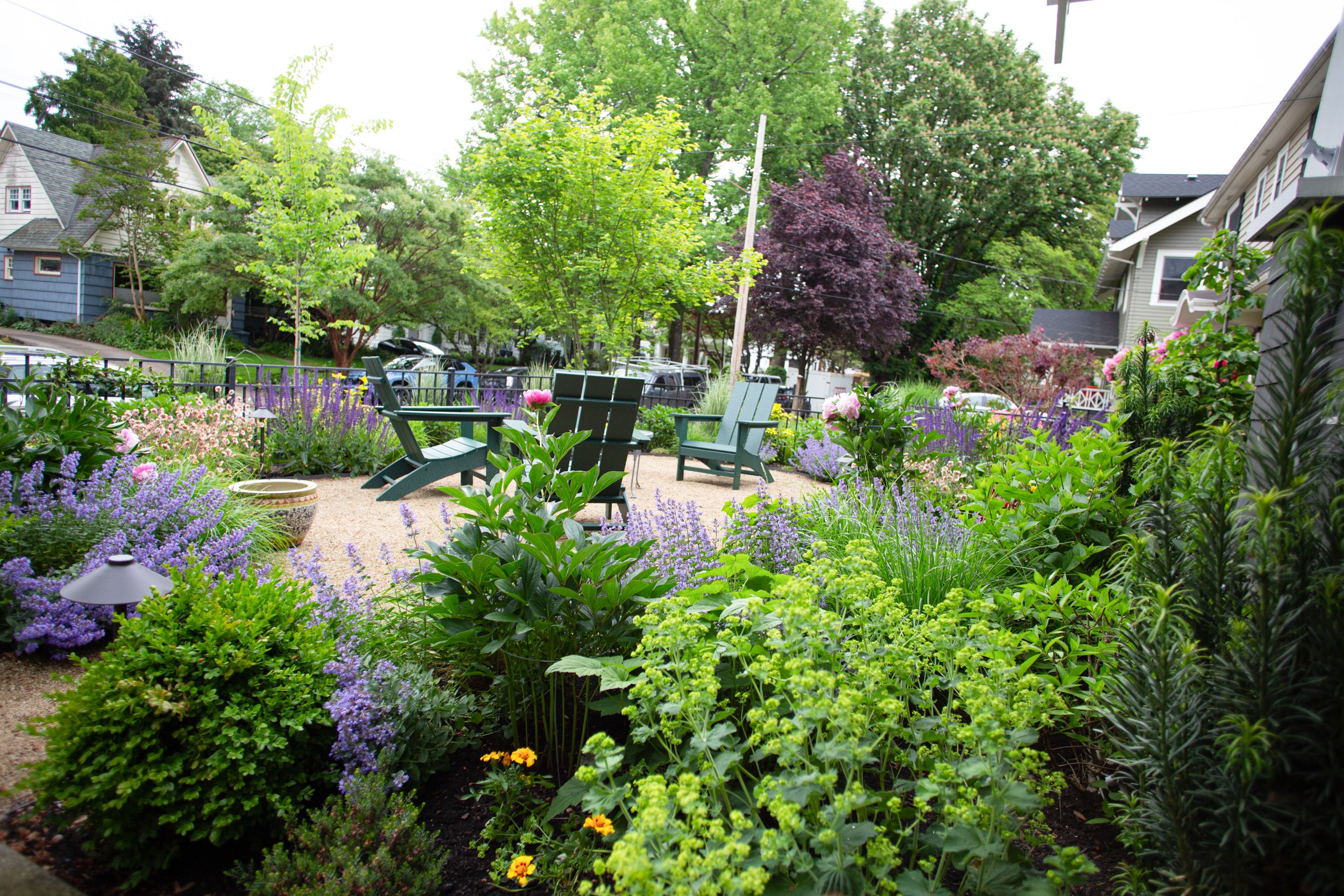 Garden Riot_sam m_naturalistic design-26.jpg