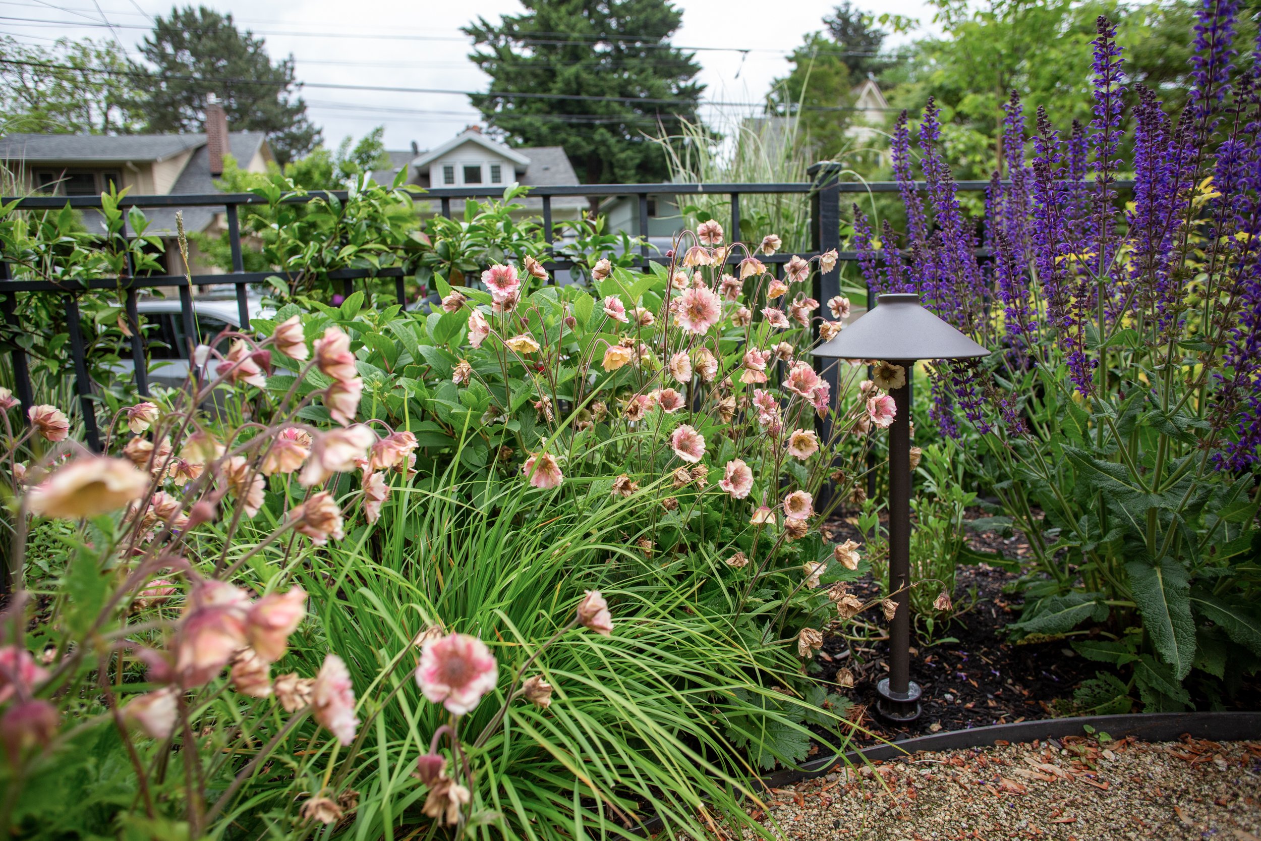 Garden Riot_sam m_naturalistic design-24.jpg