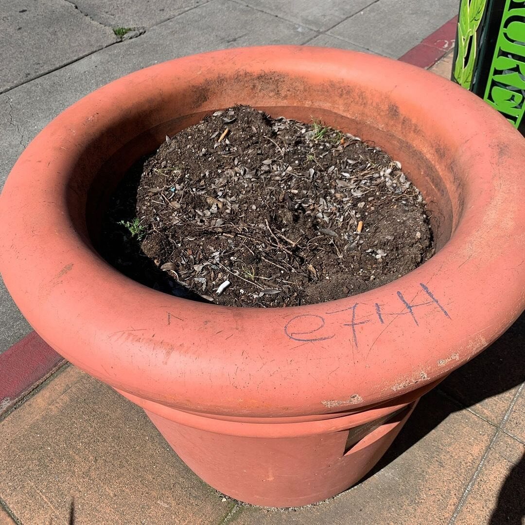 Help wanted! Gardeners, volunteers, good people of Maxwell Park &amp; Laurel!!!!

Repost from @highstreetcoalition
&bull;
Hey Oakland, we need your help this Saturday to plant some flowers! Bring a wheelbarrow or wagon if you have one!

It&rsquo;s sp