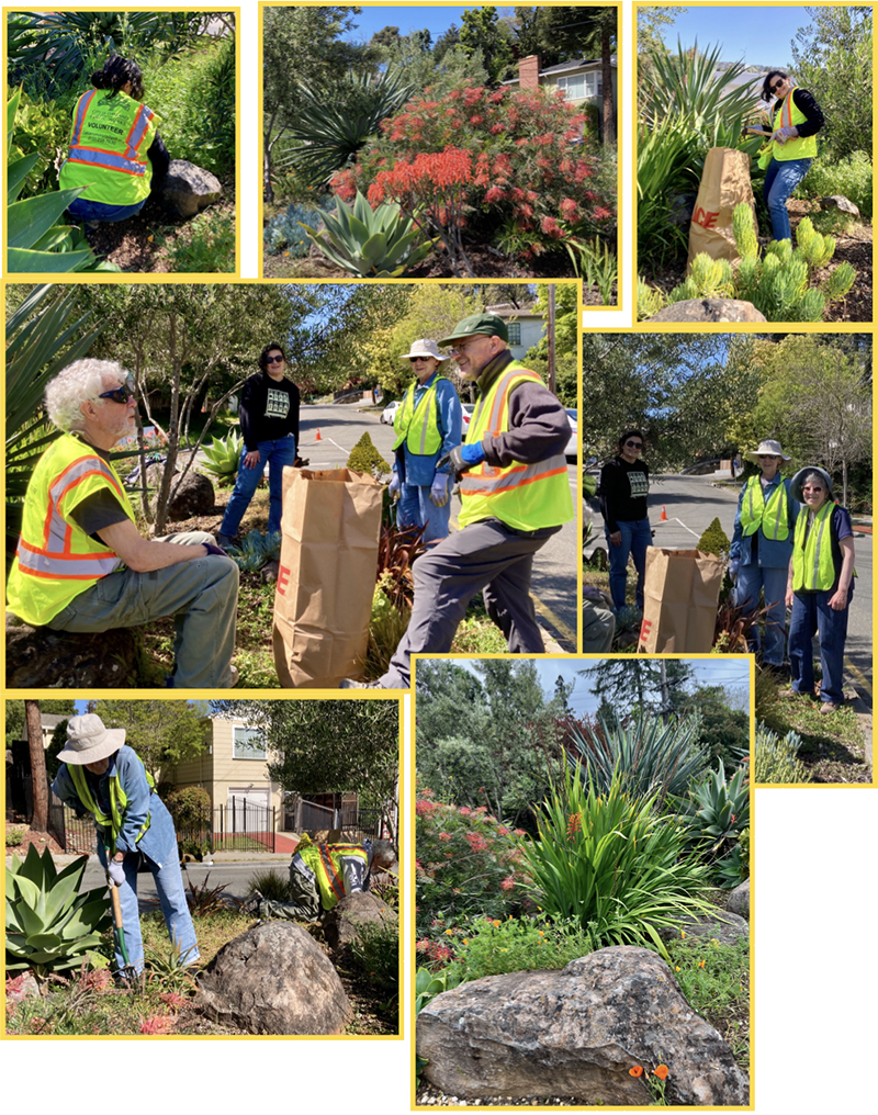 Spring Makeover at Pierson Circle