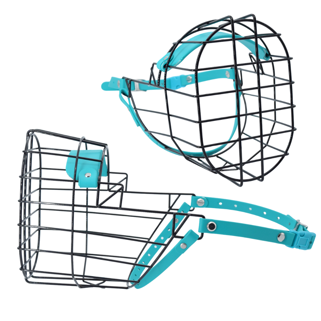 Size 70 Teal Premade Standard Muzzle