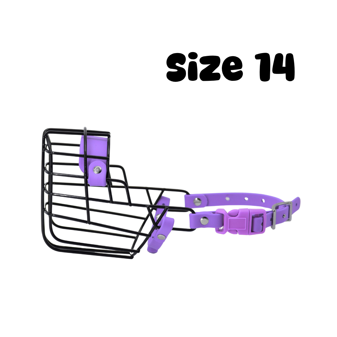 70.png