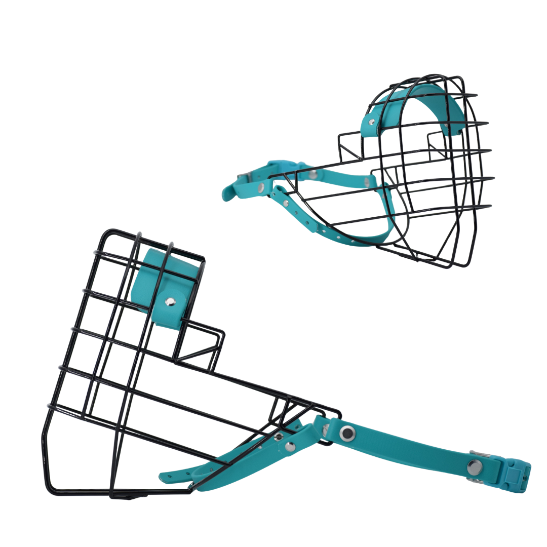 Web Pic Spacing (10).png