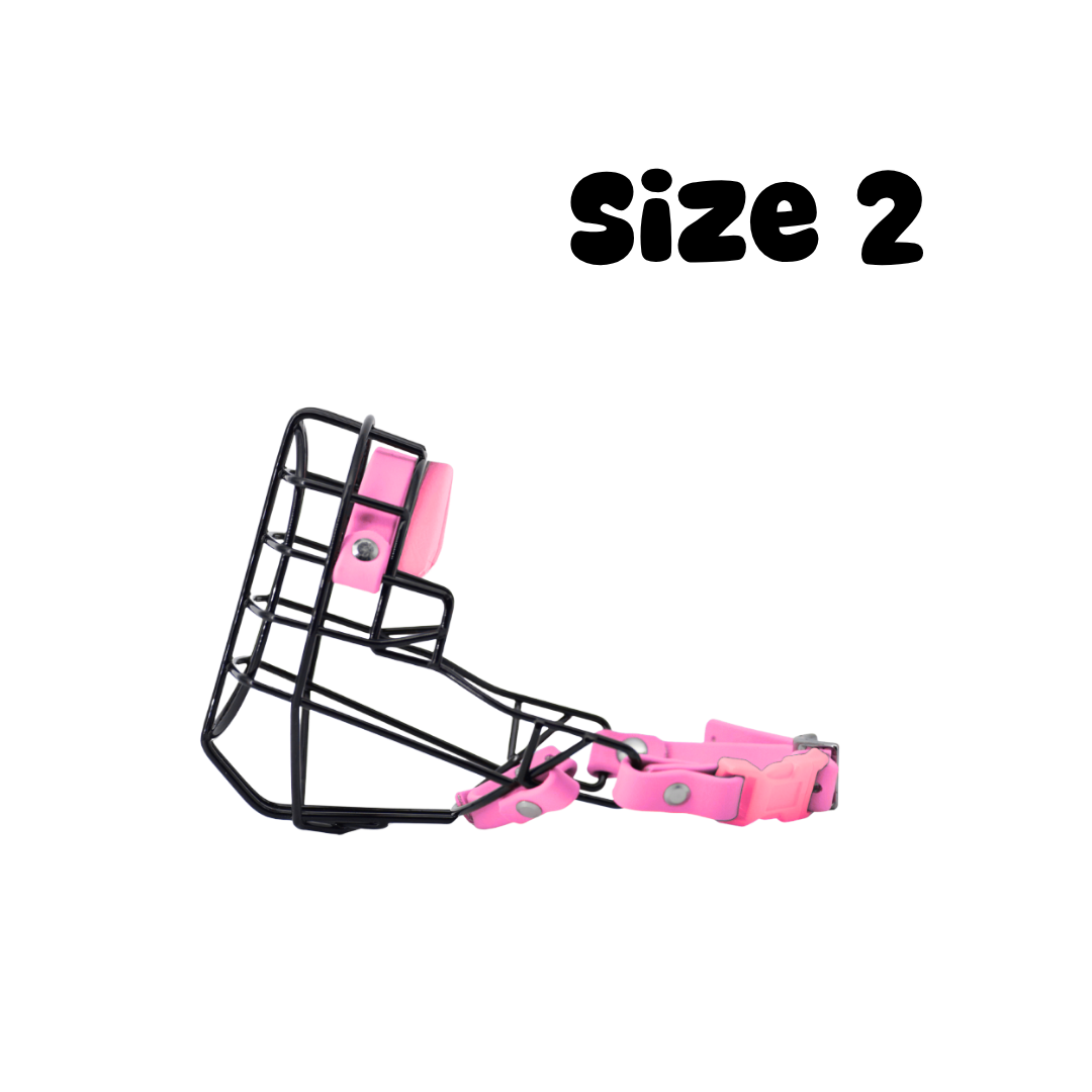 16.png