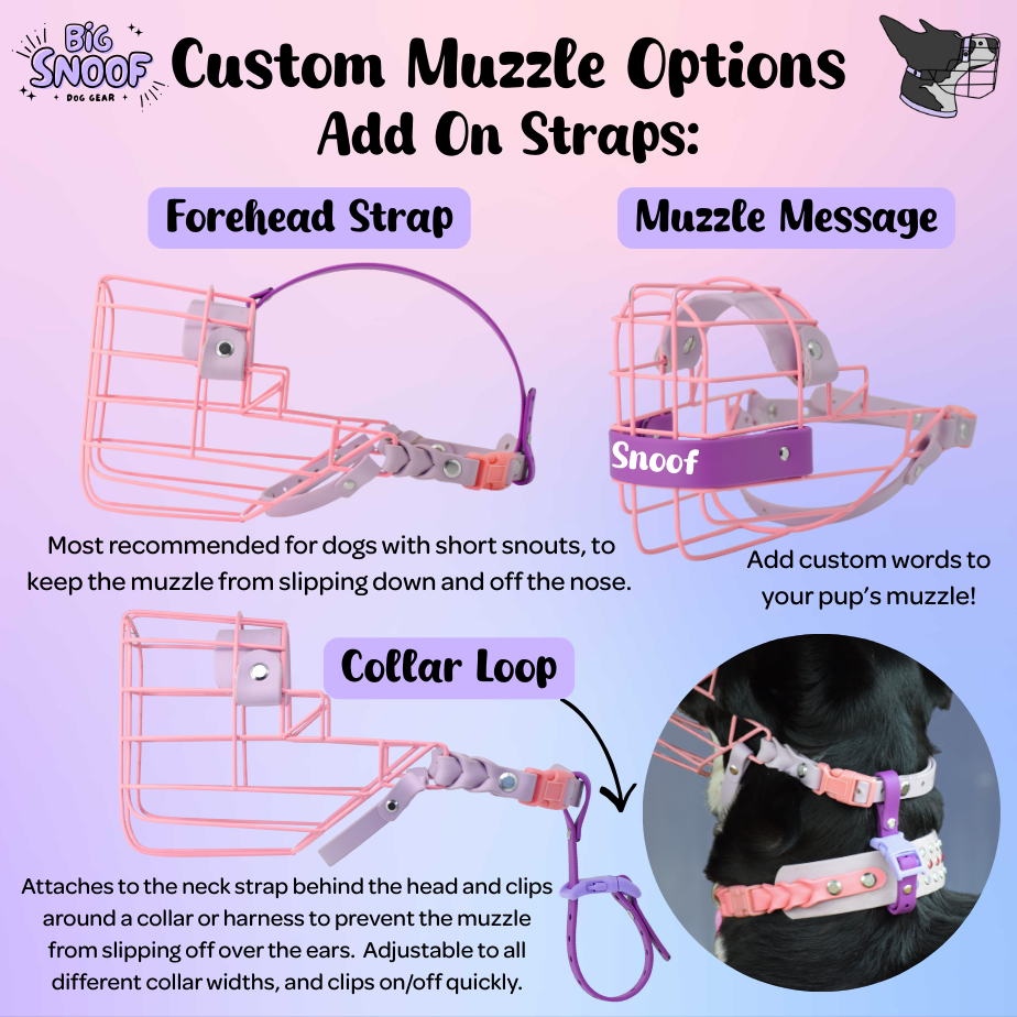 Custom Muzzle Options.png