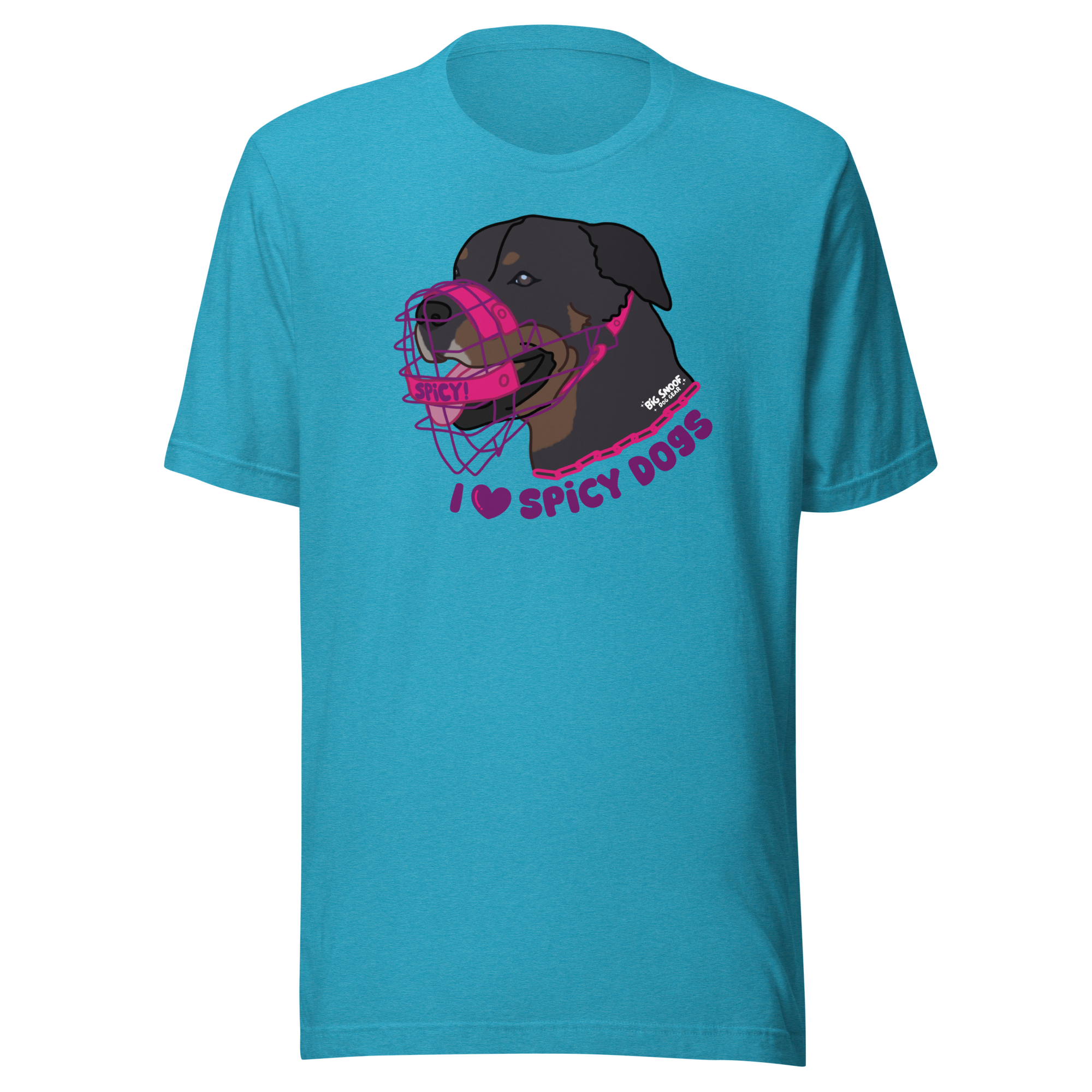unisex-staple-t-shirt-heather-aqua-front-6a2b4a7b36cb6.png