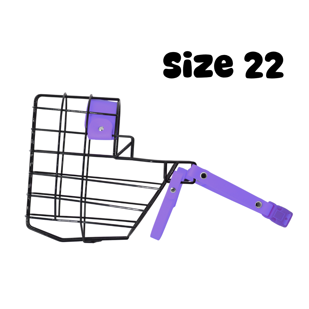 147.png
