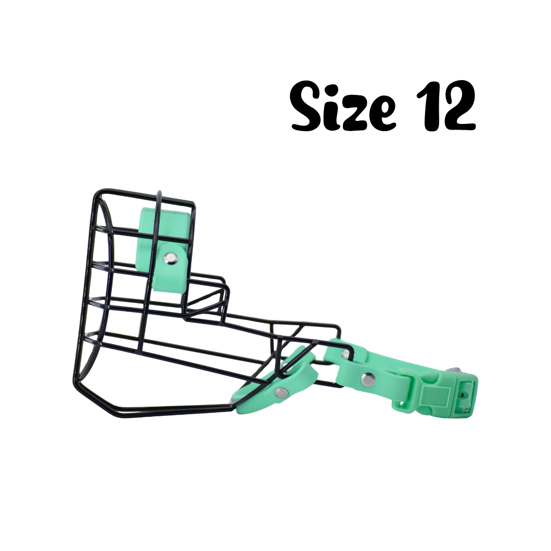 53.png