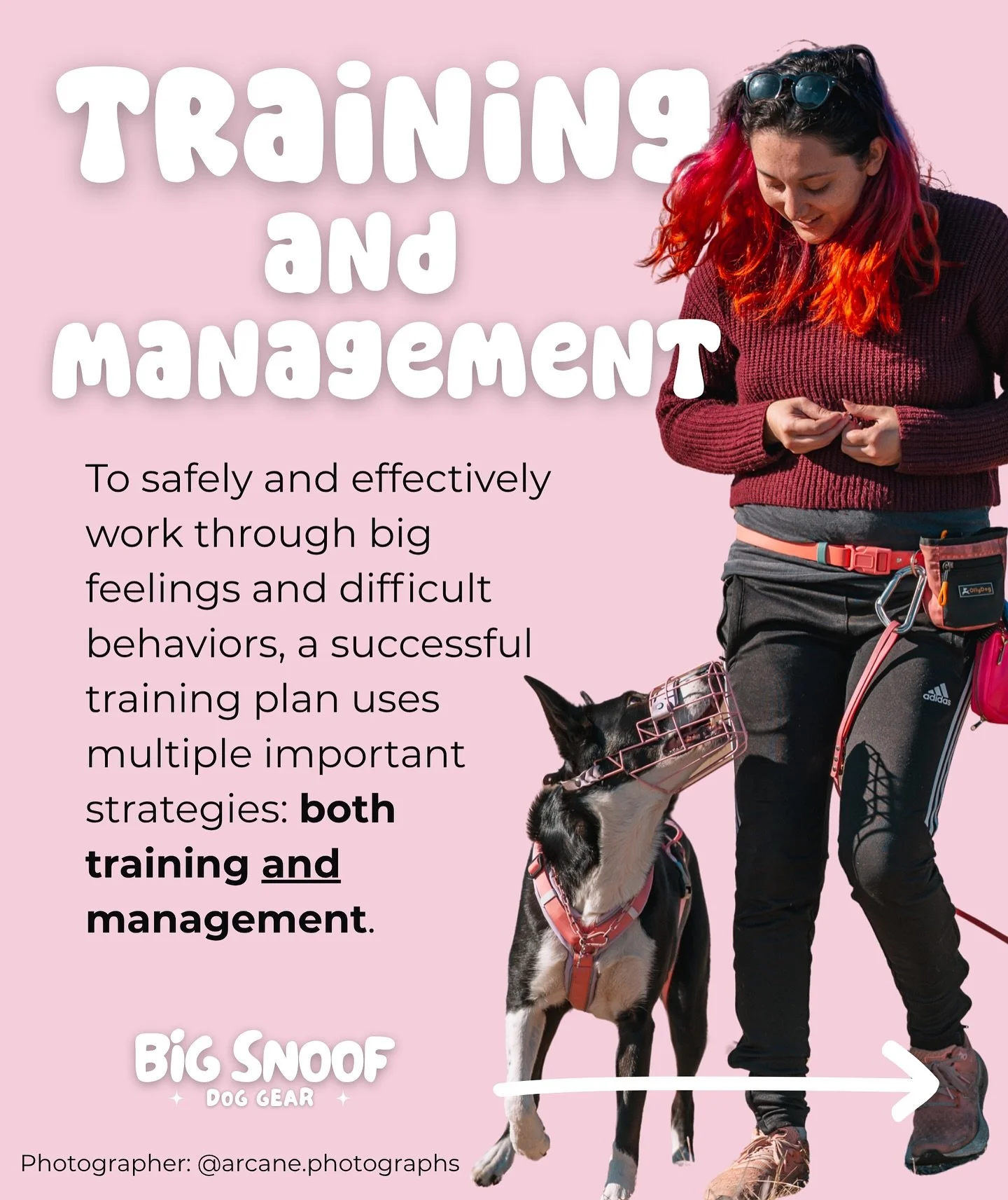 Training and Management: both invaluable, but not the same ❤️ 
#dogtraining #dogmuzzles #muzzleddogs #trainyourdog #smallbuisness #doglover #management #training #learn #muzzleddogsaregooddogs