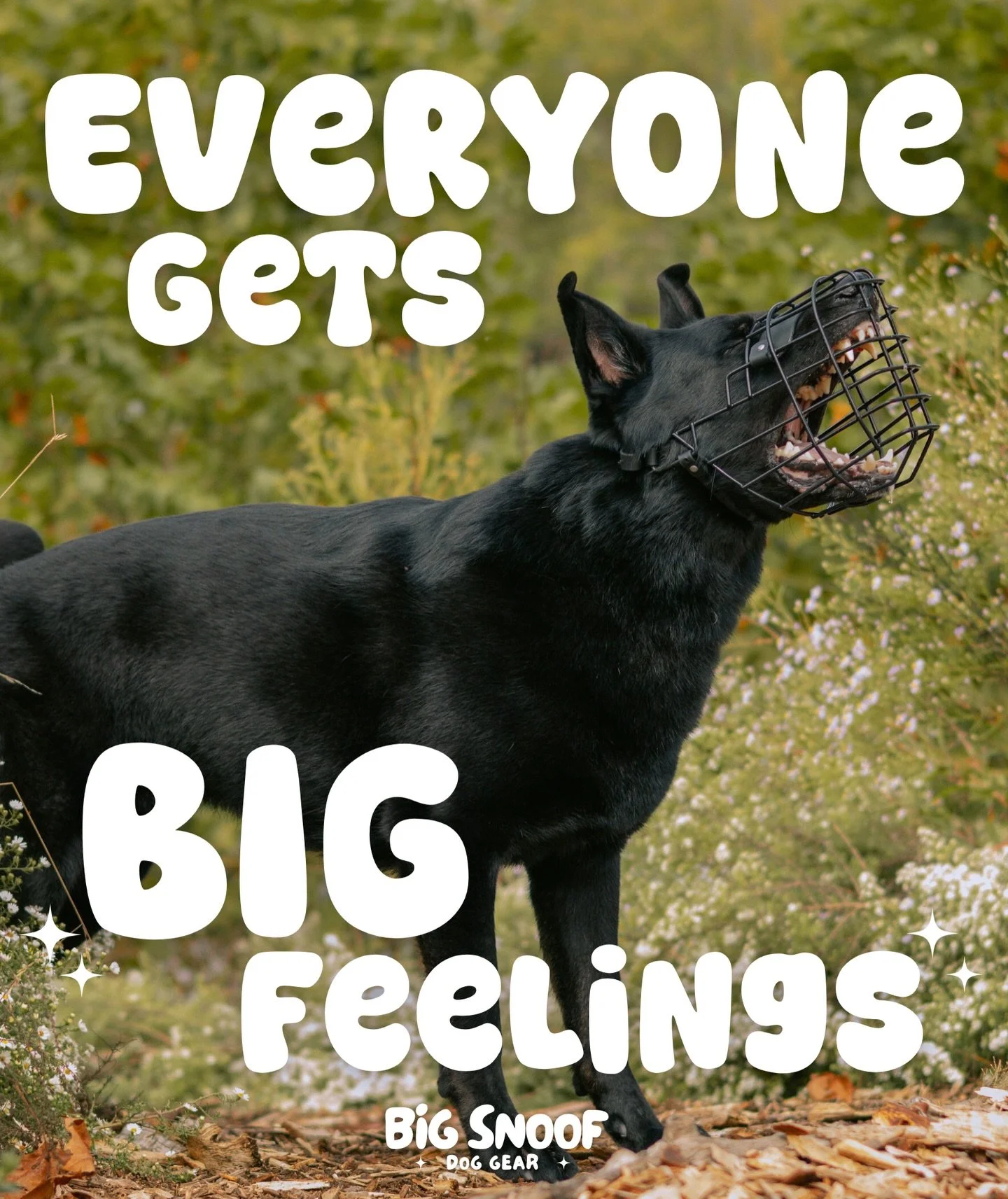 Make sure to get those Black Friday discounts by ordering this week! Use code SAVE30 for $30 off orders over $130 OR code SAVE15 for $15 off orders over $75 🥰 

#muzzleddogsaregooddogs #muzzleup #dogtraining #doggear #reactivedog #smallbusiness #sho