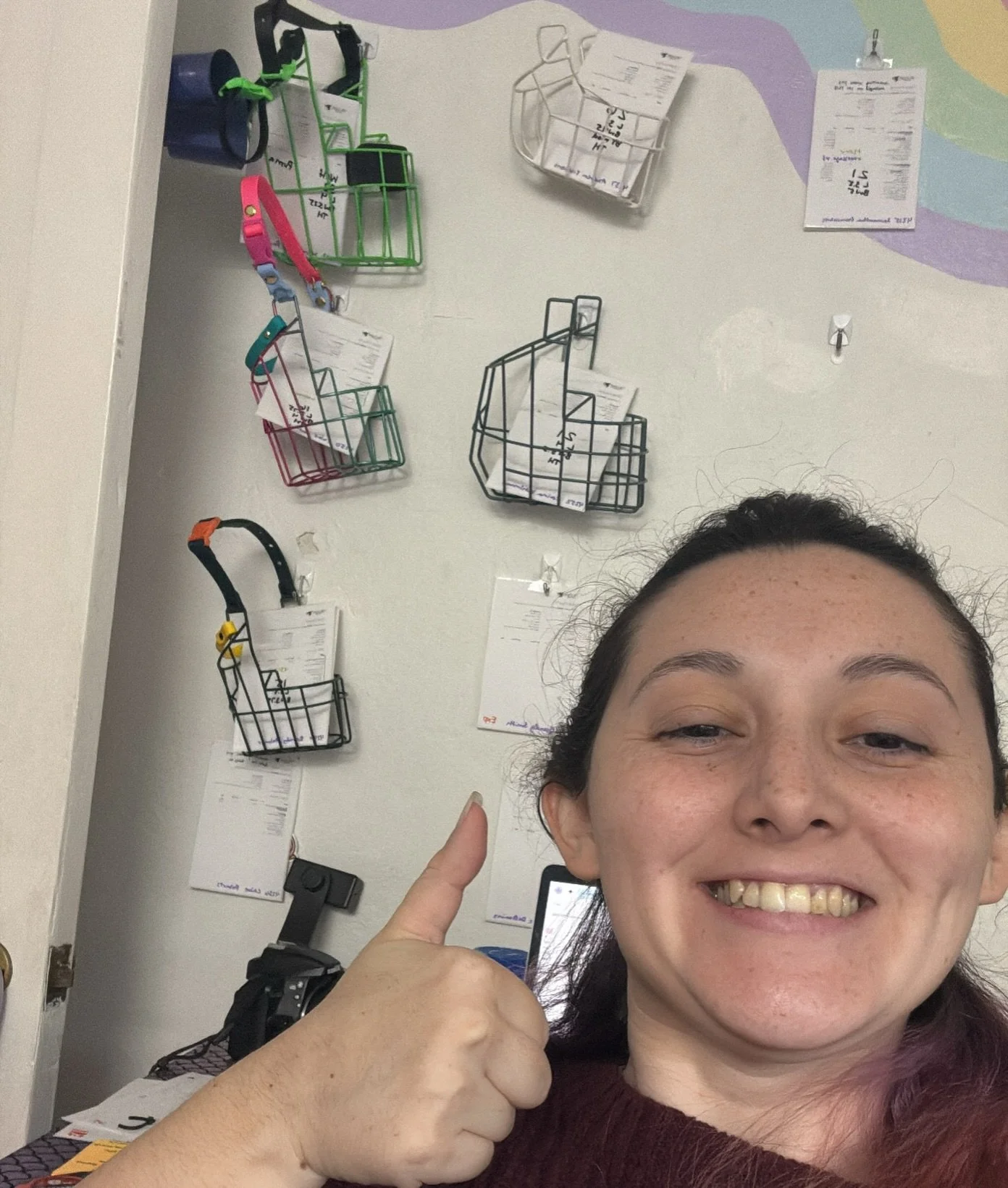 Hi from your friendly neighborhood muzzler trying to keep it together til Christmas break 😂😅💖 Comment if you think we should do a holiday giveaway lol

-Audrey 💖

#beenalongweek #muzzle #smallbusiness #doggear