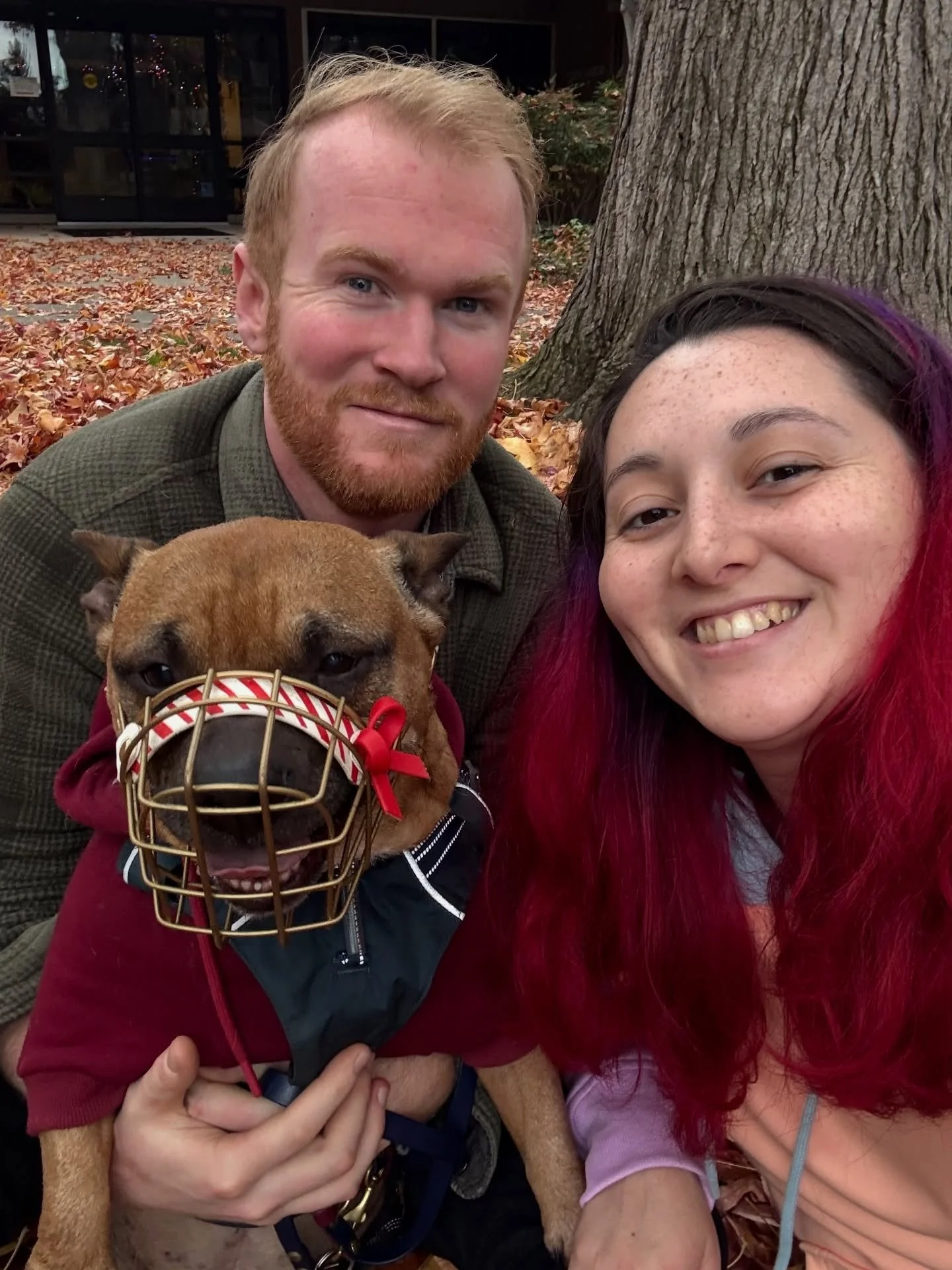 Merry Christmas, muzzle friends 🎄🥰🫶🏼 Do you like Porko&rsquo;s Christmas muzzle?👀❤️ We&rsquo;ll be enjoying our holiday break from now until January 5th, so we&rsquo;ll be back to work Jan 6! We&rsquo;re going on a road trip from the California 