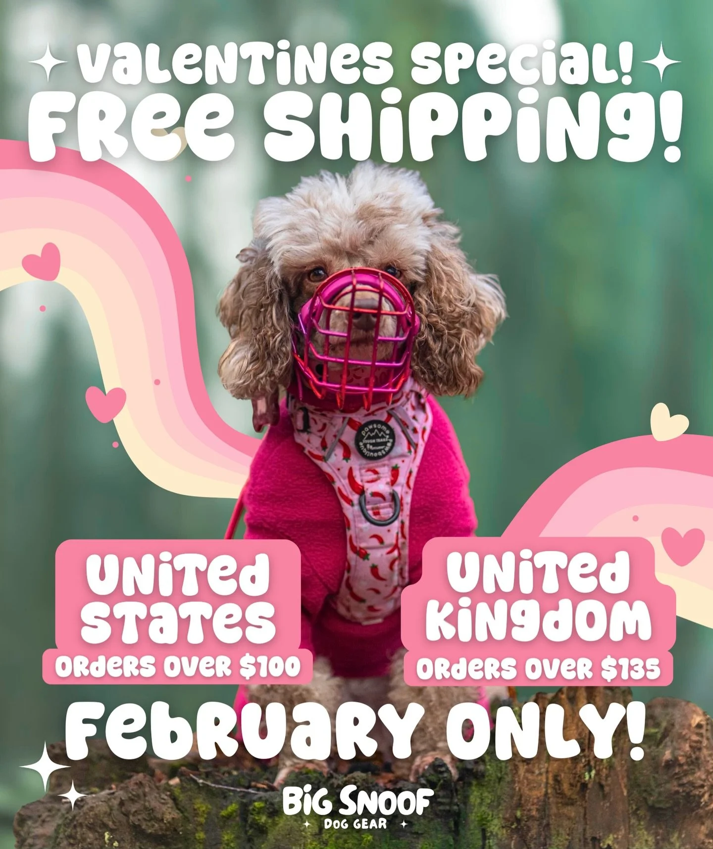 We&rsquo;ve never offered FREE Shipping to the UK before, but we 💖LOVE💖 you guys so much, we decided to make it easier for you to access our muzzles this February! All custom muzzles are priced at $135 and over, effectively making all custom muzzle