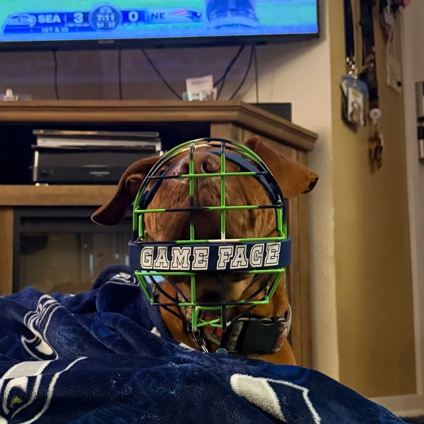 Seahawks ftw 🙌🏻 👏🏼💚💙🤍 (and ❤️&zwj;🔥 Bad Bunny 👏🏼) 
Also fun to have the Super Bowl practically in our backyard San Jose! 🙌🏻 

Swipe to see Radley crashout&mdash; pretty sure he was mostly there for Bad Bunny anyway 😂

#superbowl2026 #muz