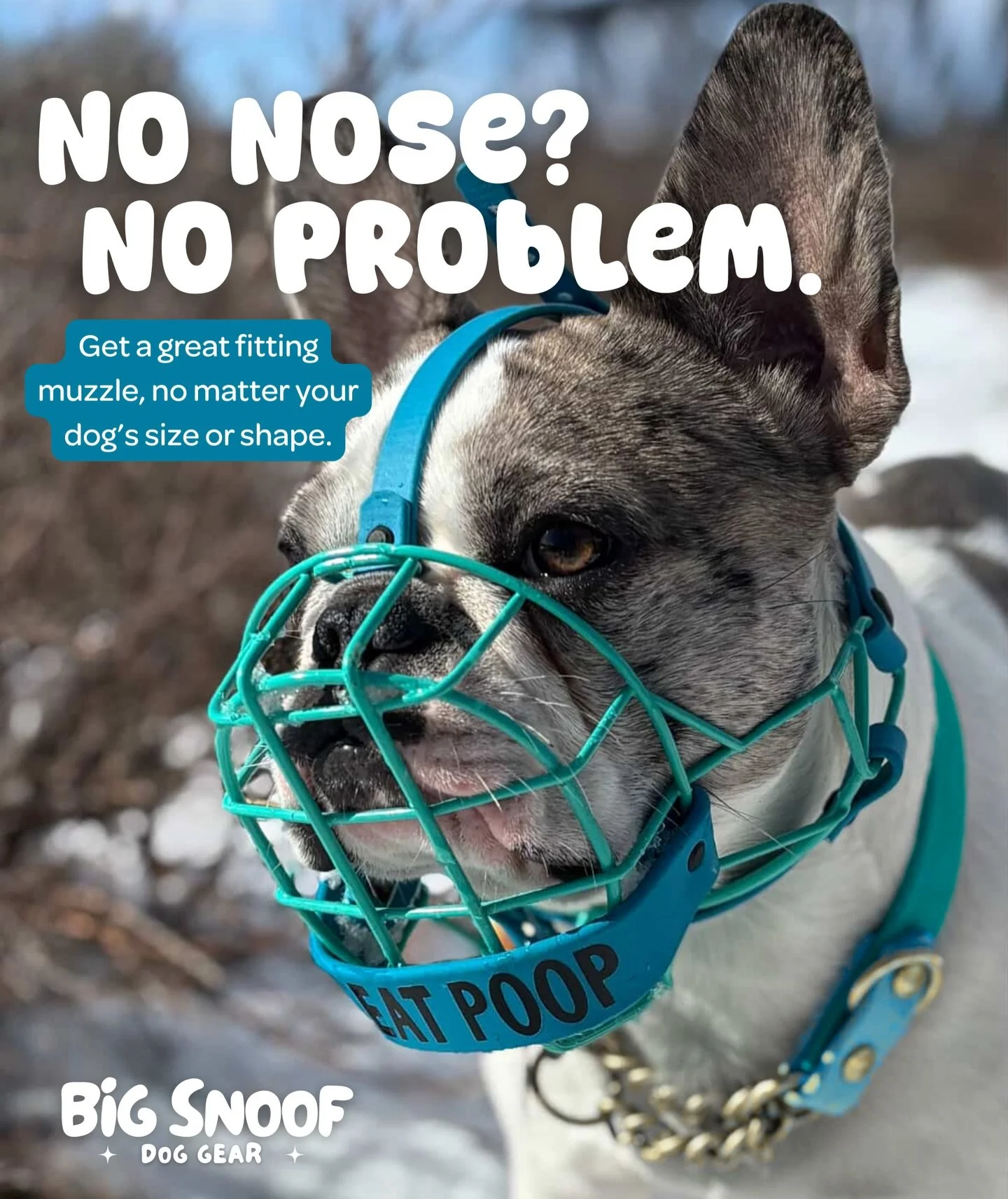 Beautiful Stevie showing off that we can make muzzles for even the trickiest of snoofs. 🩵 Thank you Krista for  these gorgeous photos and for trusting us in this process, we&rsquo;re so happy you love your new muzzle and that it works well for littl