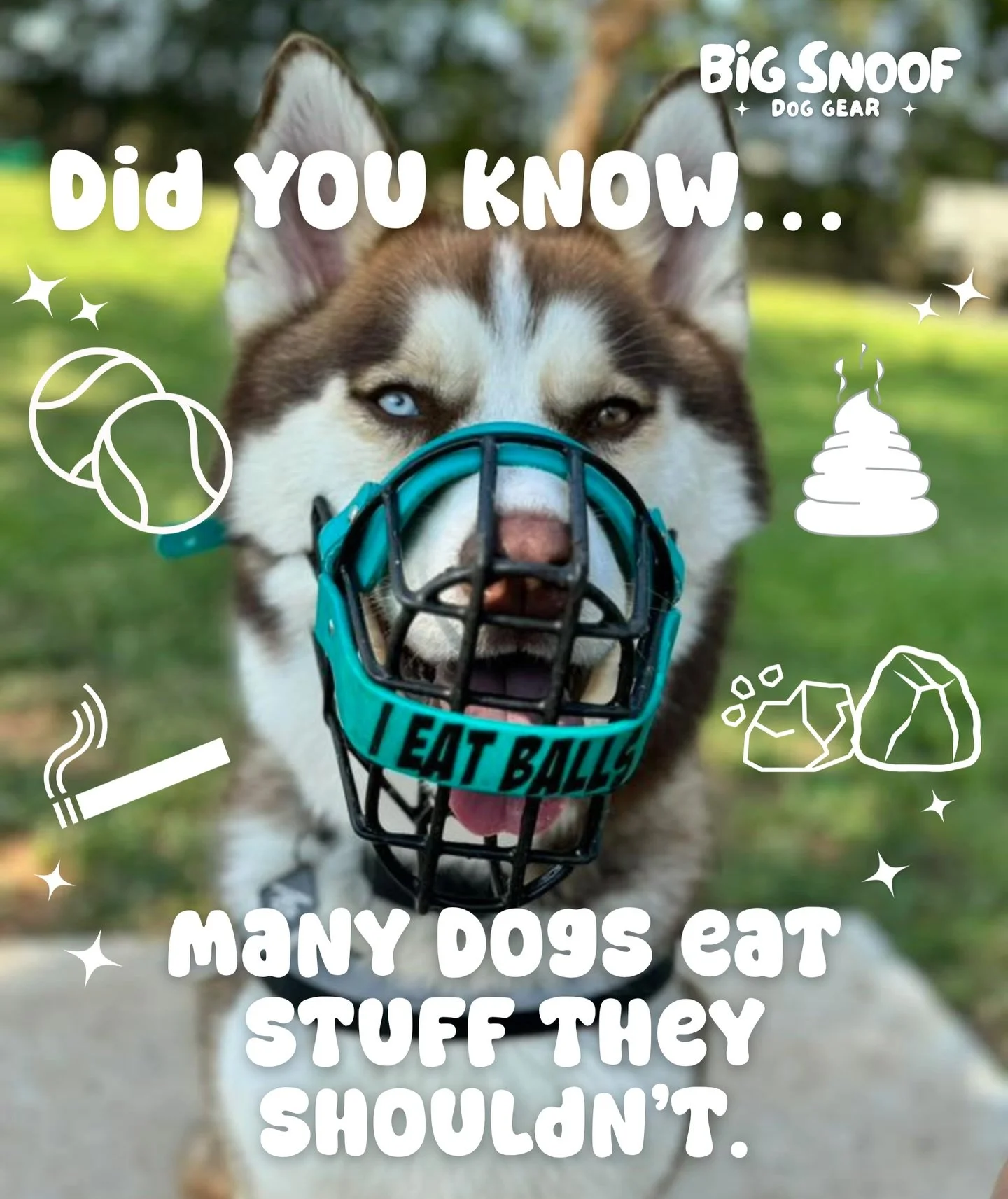The relief that comes when instead of fearing every suspicious sniff on walks, demanding your dog &ldquo;leave it!&rdquo; or yanking them away frantically when you realize they&rsquo;ve gotten into something&hellip; your dog wears a muzzle and you si