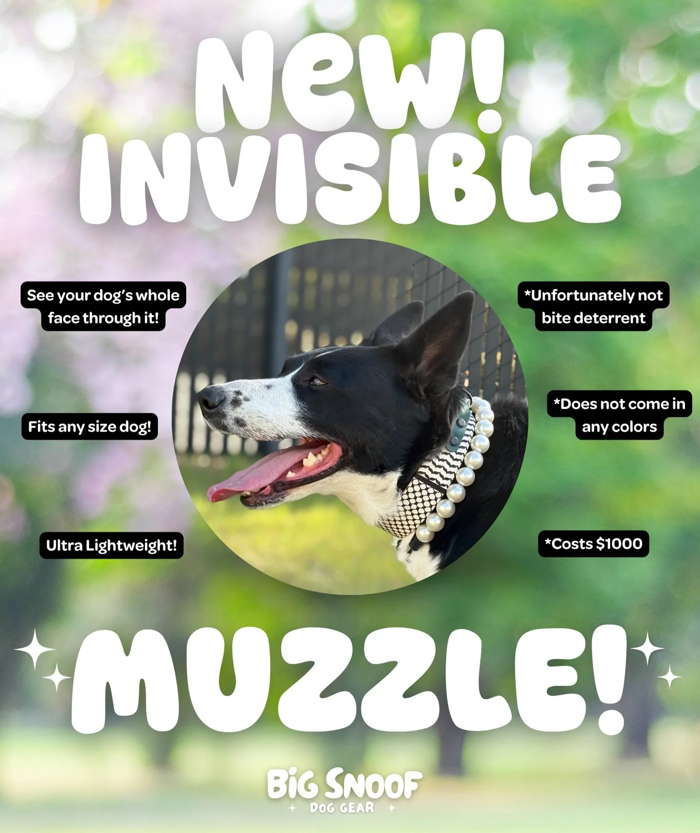 All the pros, and none of the cons 😍🤣❤️
(And don&rsquo;t worry, the Rainbow Pride Muzzles launched today and are in fact here to stay!🏳️&zwj;🌈😍)

#bigsnoofdoggear #muzzleddogsaregooddogs