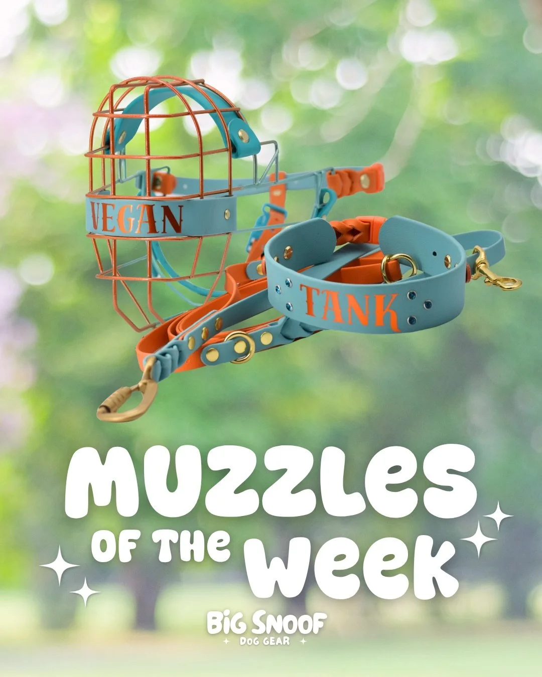 Happy Muzzle Monday! Here&rsquo;s a huge array of some of the custom muzzles we made over the last week (or two) &mdash; I&rsquo;ve labeled some of the particularly unique ones that I remembered sizing with their breed, so you can see what kind of sh