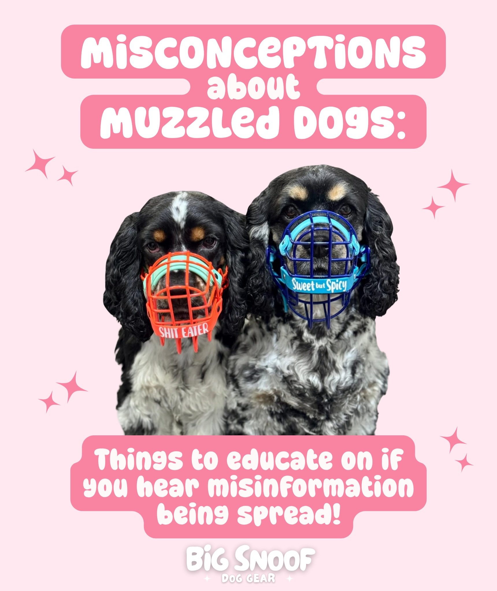 There&rsquo;s so much muzzle misinformation out there&mdash; a large part of our work towards breaking the stigma against muzzles is combating that misinformation, and helping educate more people about the reality of muzzles. You can help too! So her