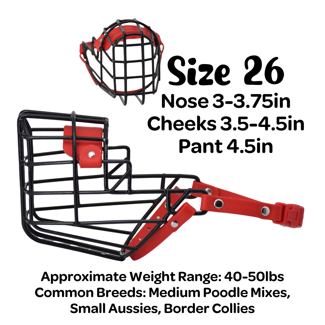 Size 26 Standard Muzzle