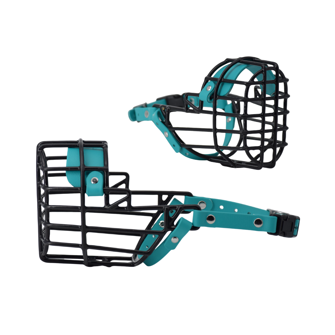 Size 15 Teal Standard Premade Muzzle