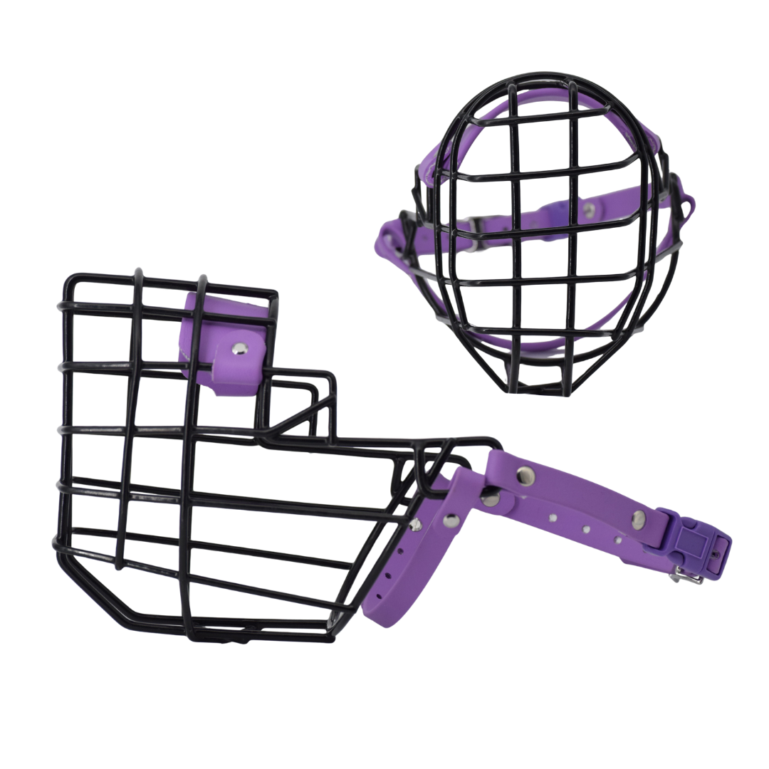 Web Pic Spacing (3).png