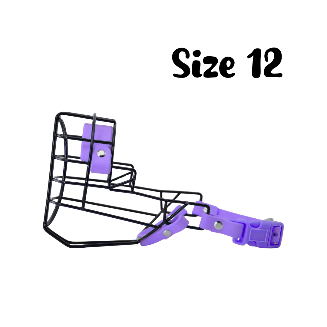 56.png