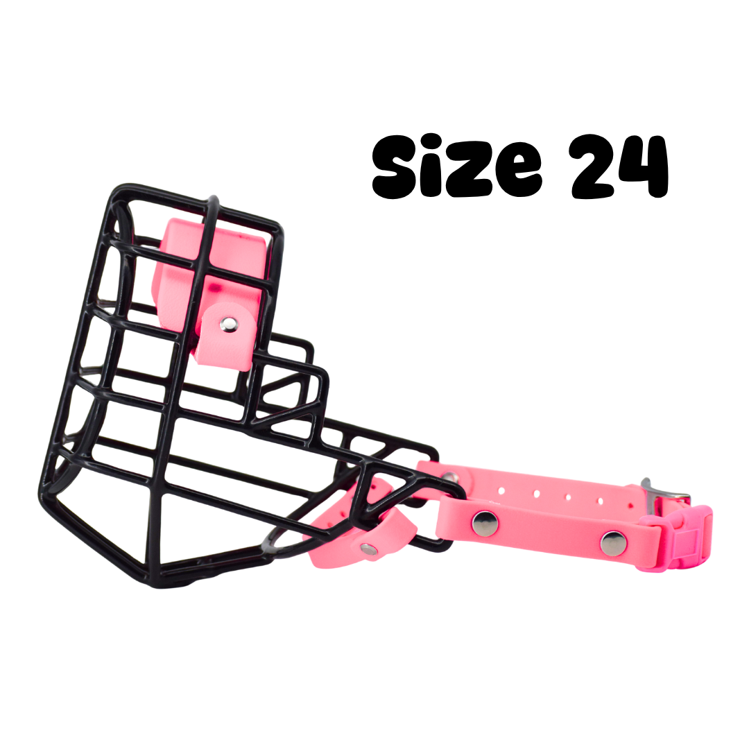 163.png