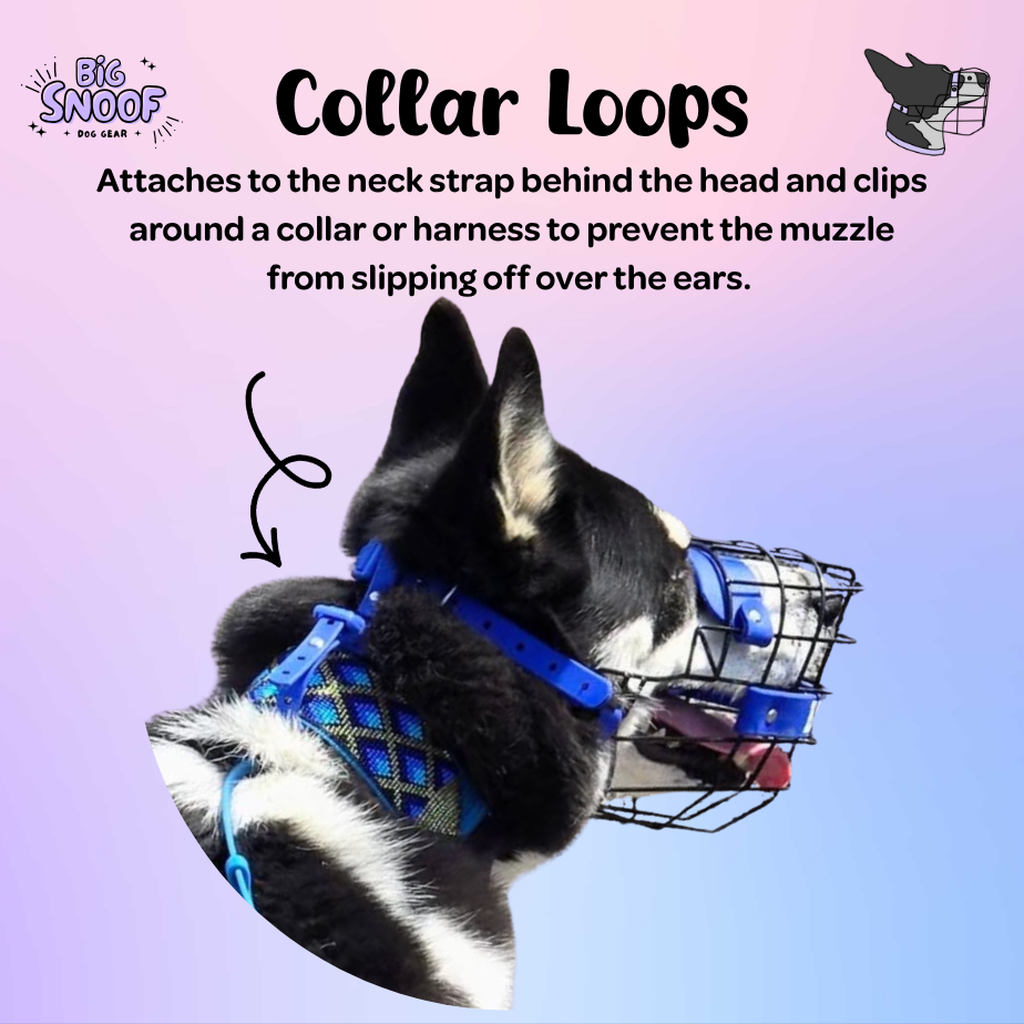 New Snoof Guides (14).png