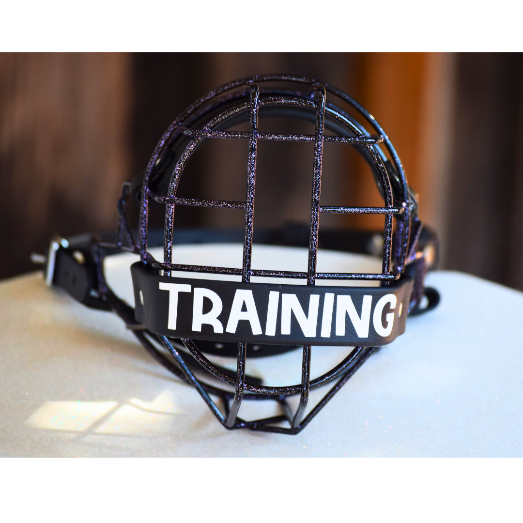 Disco Sparkle Top Coat✨