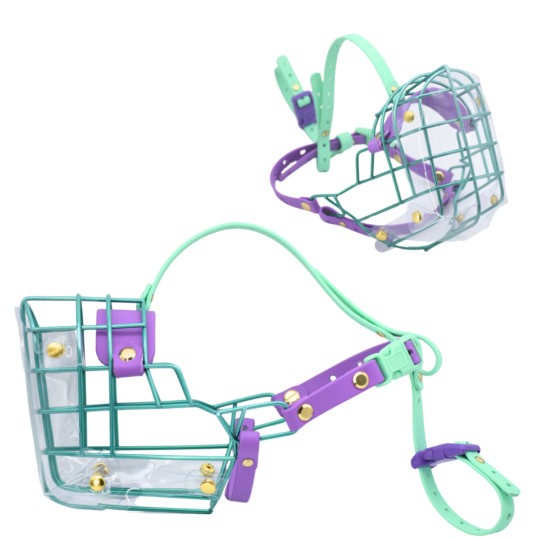 10.png