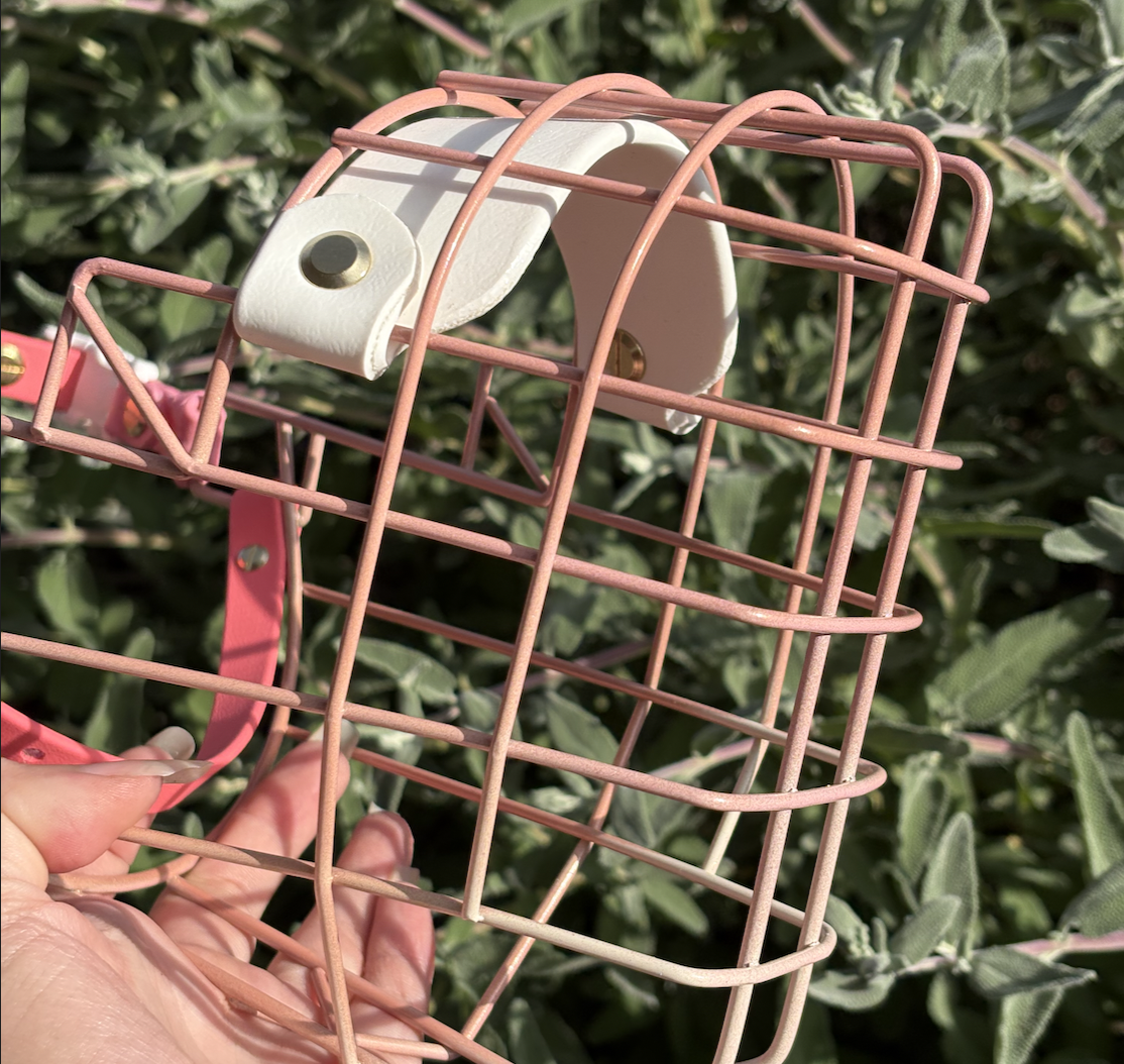 Screenshot 2026-02-09 at 10.21.51 AM.png