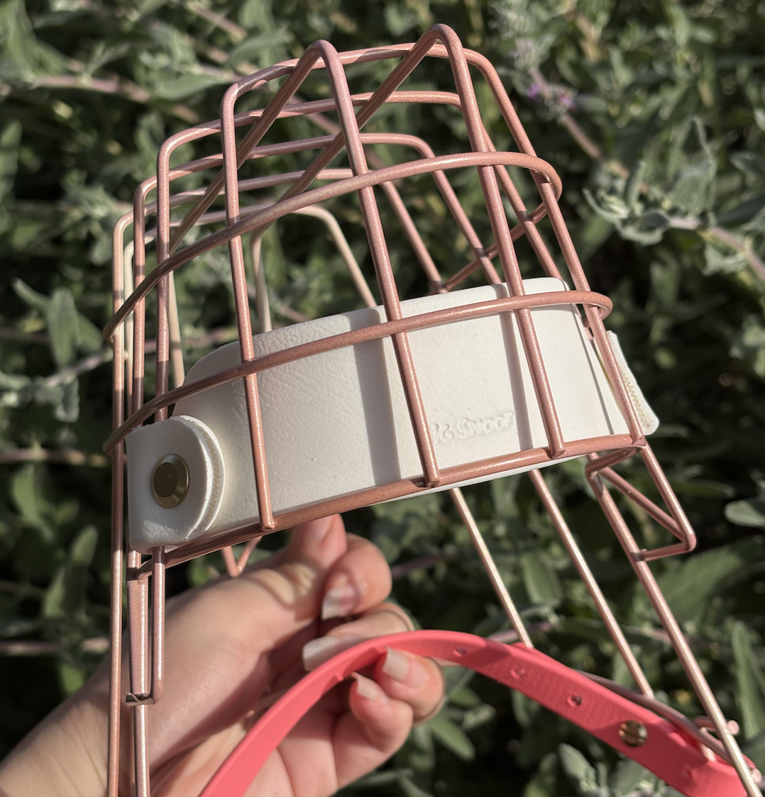 Screenshot 2026-02-09 at 10.22.20 AM.png