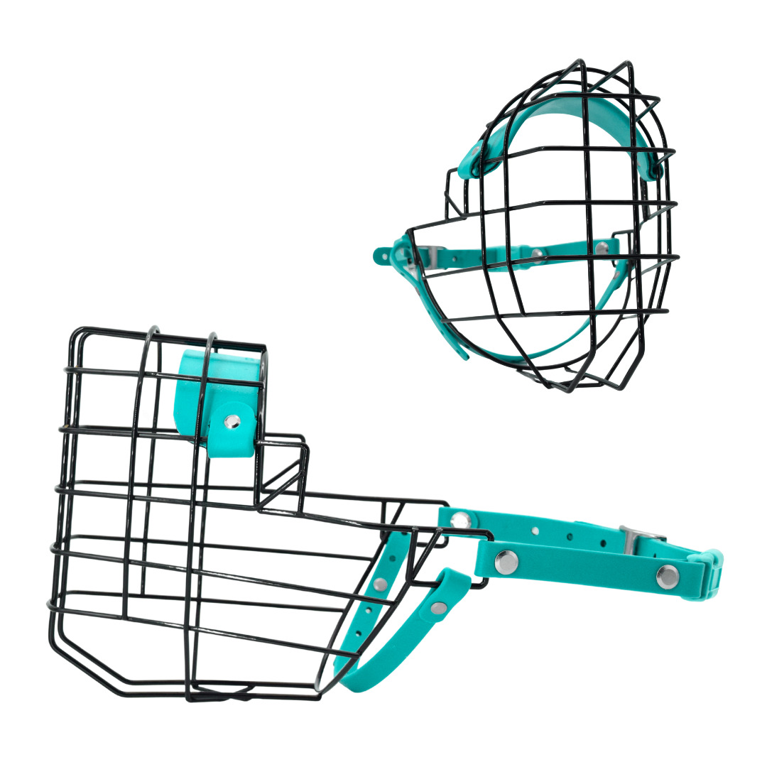 Size 21 Teal Premade Standard Muzzle