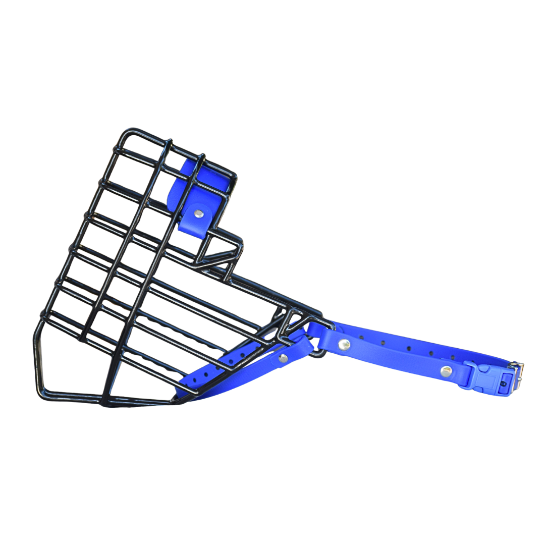 Size 66 Sapphire Premade Standard Muzzle