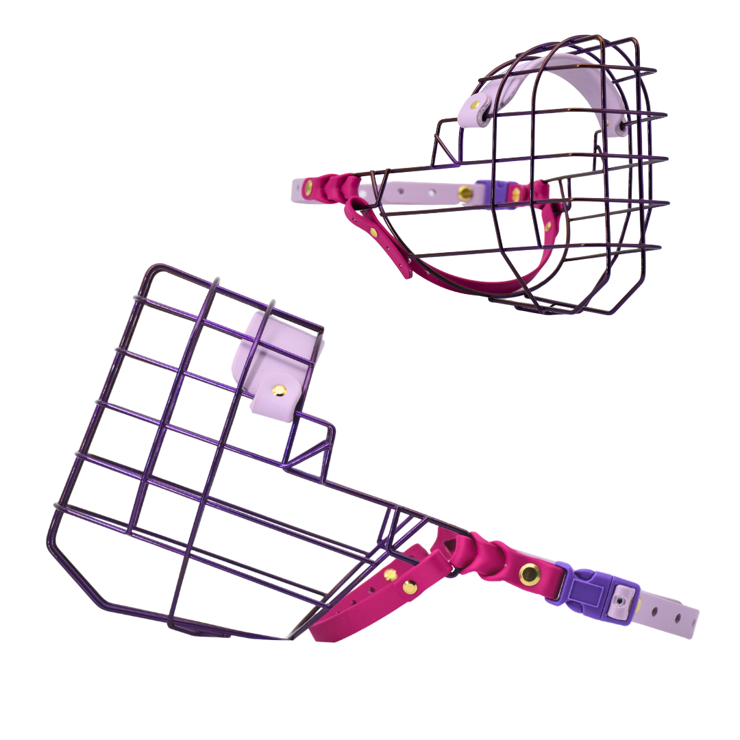 Web Pic Spacing (12).png