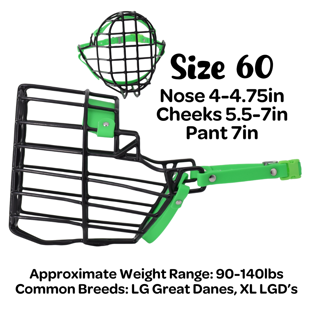 Size 60 Standard Muzzle