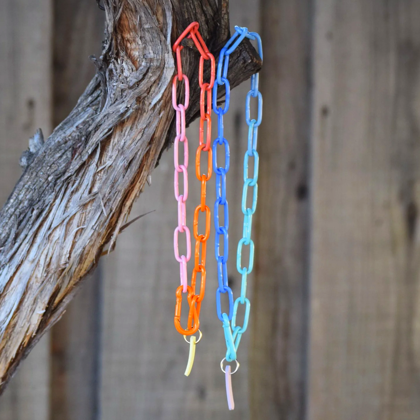 Multicolor Chain Canine Necklace