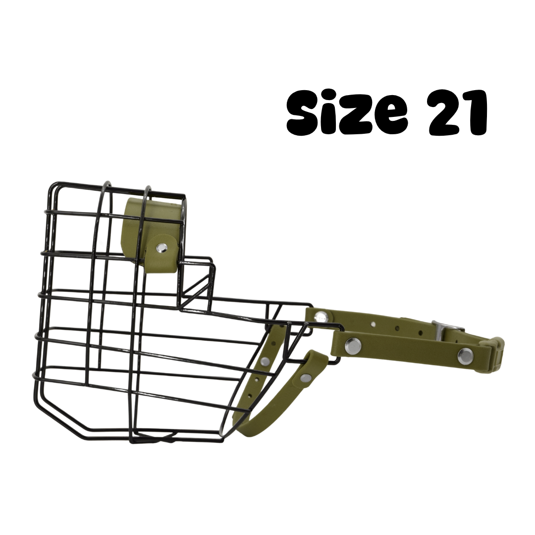 138.png