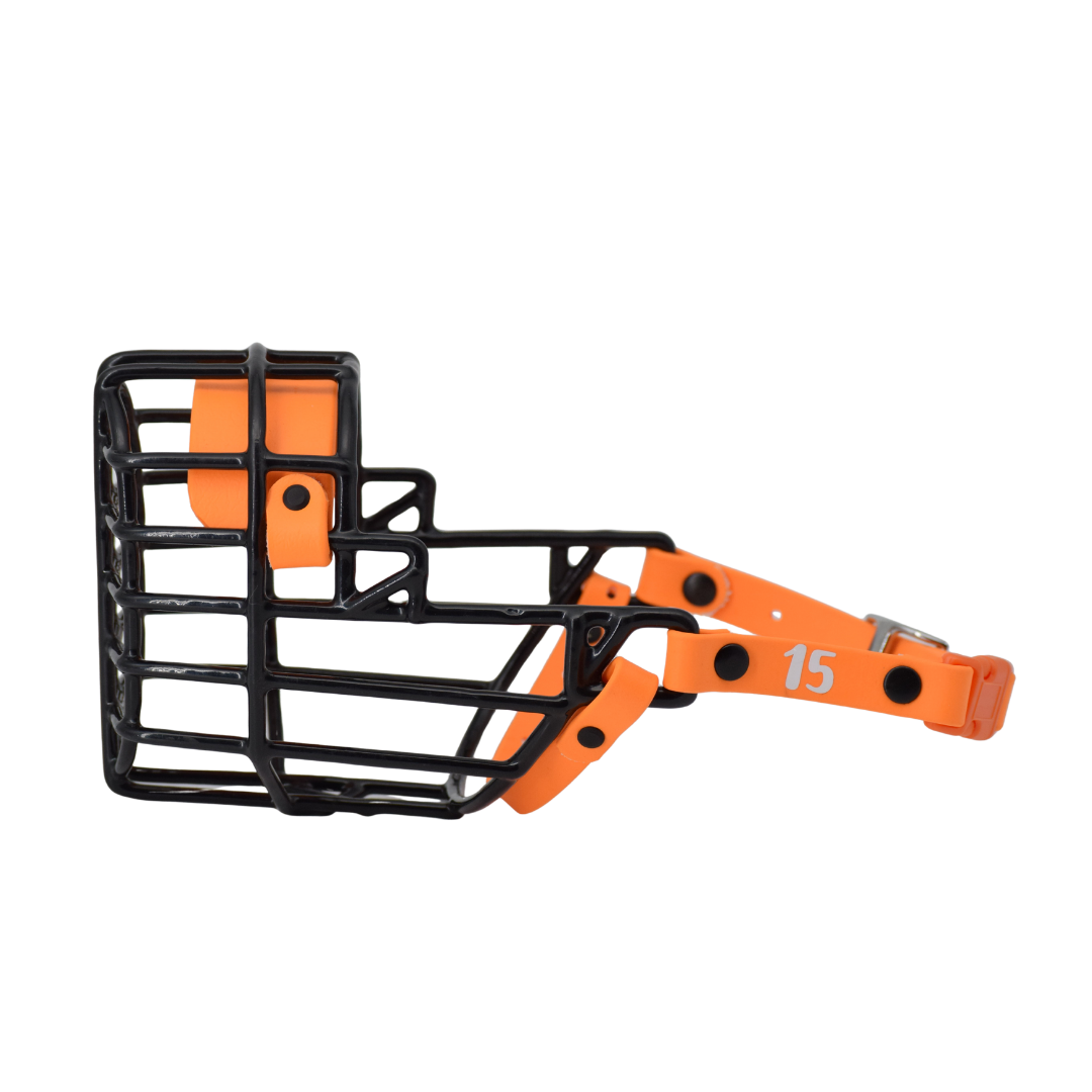 Size 15 Mango Standard Premade Muzzle