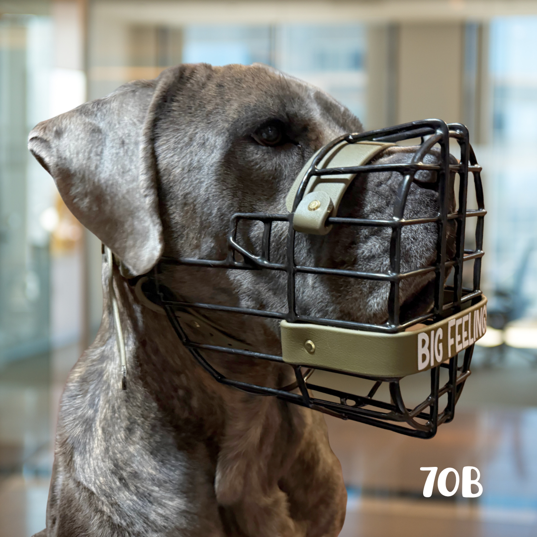 Web Pic Spacing (10).png