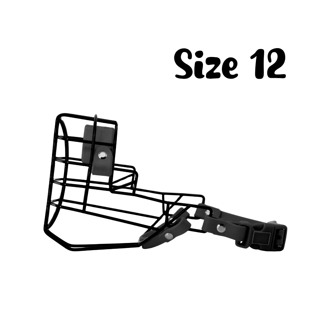 58.png