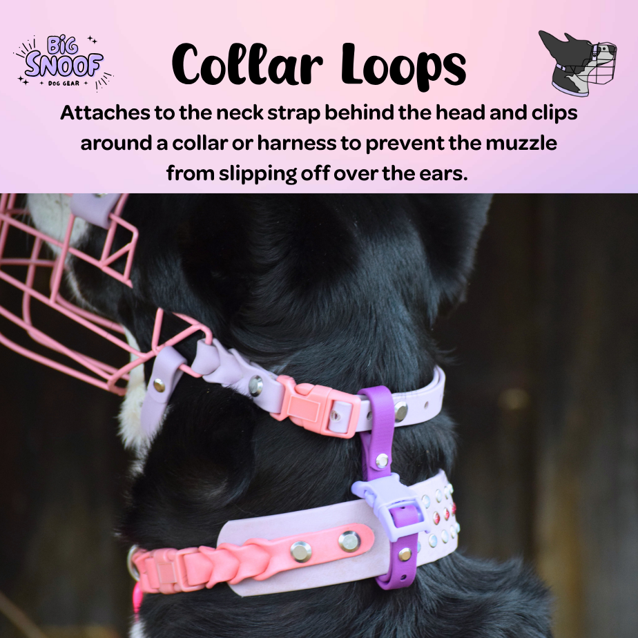 New Snoof Guides (12).png