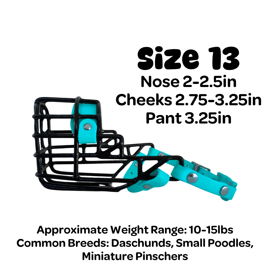 Size 13 Standard Muzzle