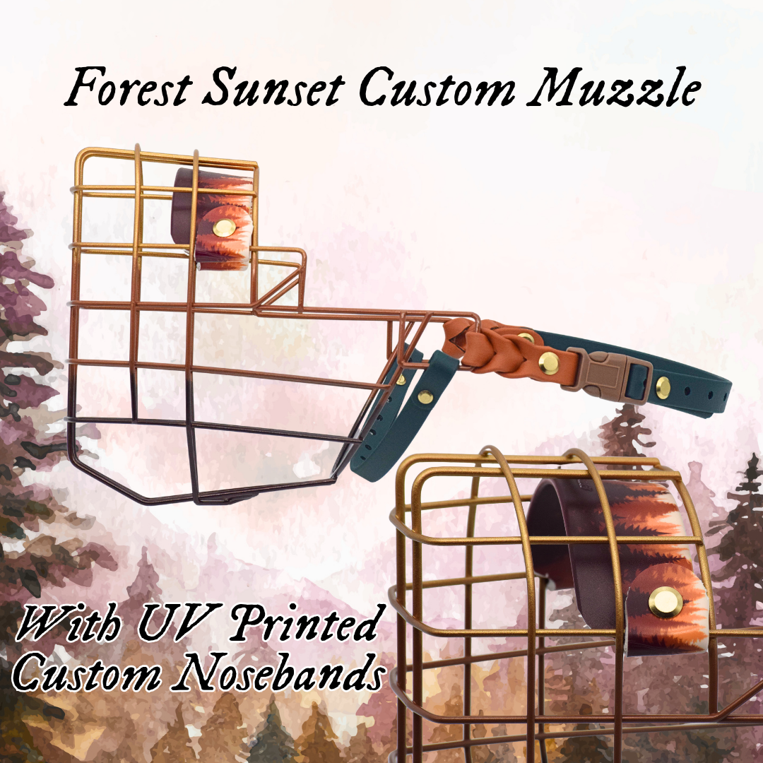 Forest Sunset Custom Muzzles🌲🌅✨