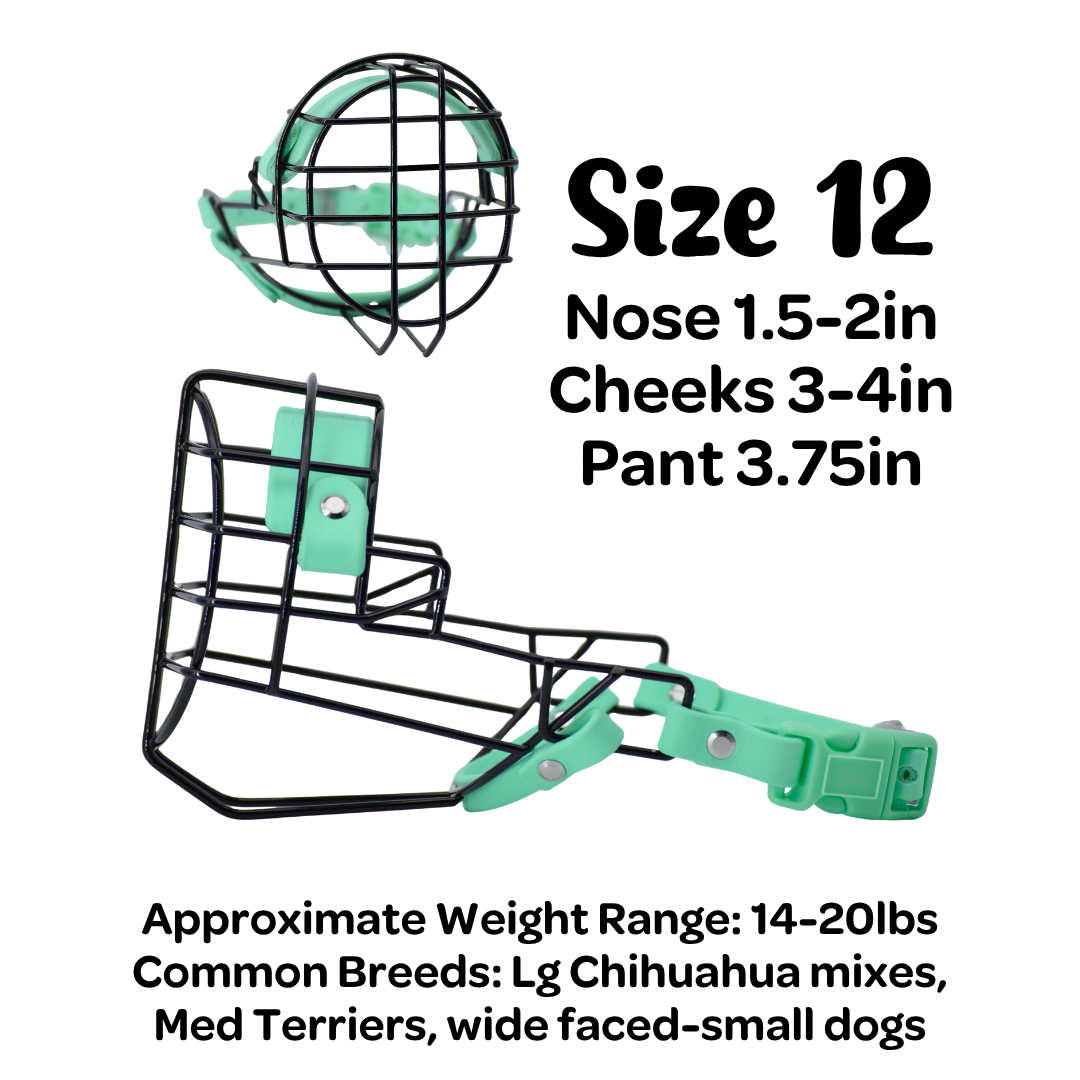 Size 12 Standard Muzzle