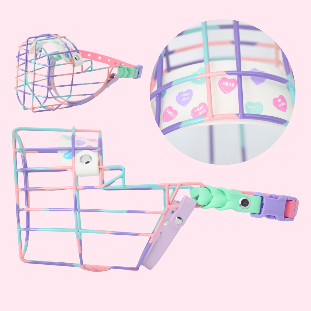 Sweetheart Candy 🍬 Custom Muzzles